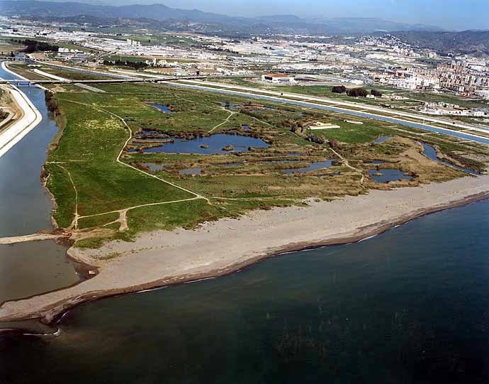 Guadalhorce