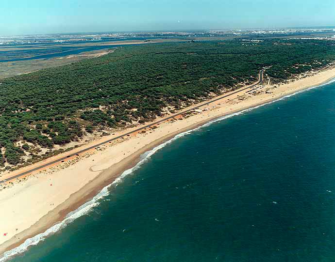 Playa de Los Enebrales