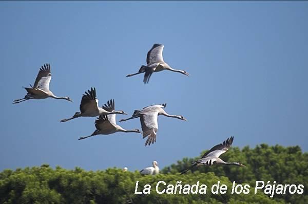 Cañada de los Pájaros