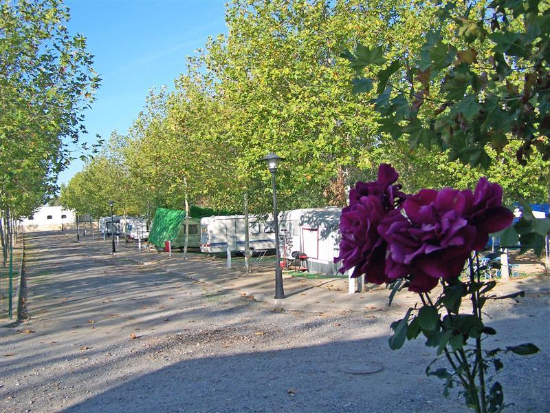 Camping Ciudad del Ocio