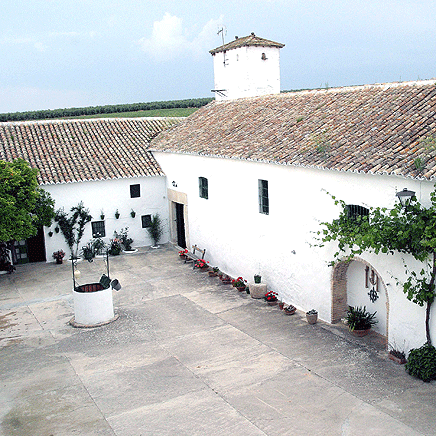 Casa Rural Cortijo El Pinar