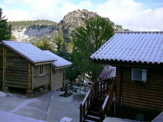 Camping Tajo Rodillo