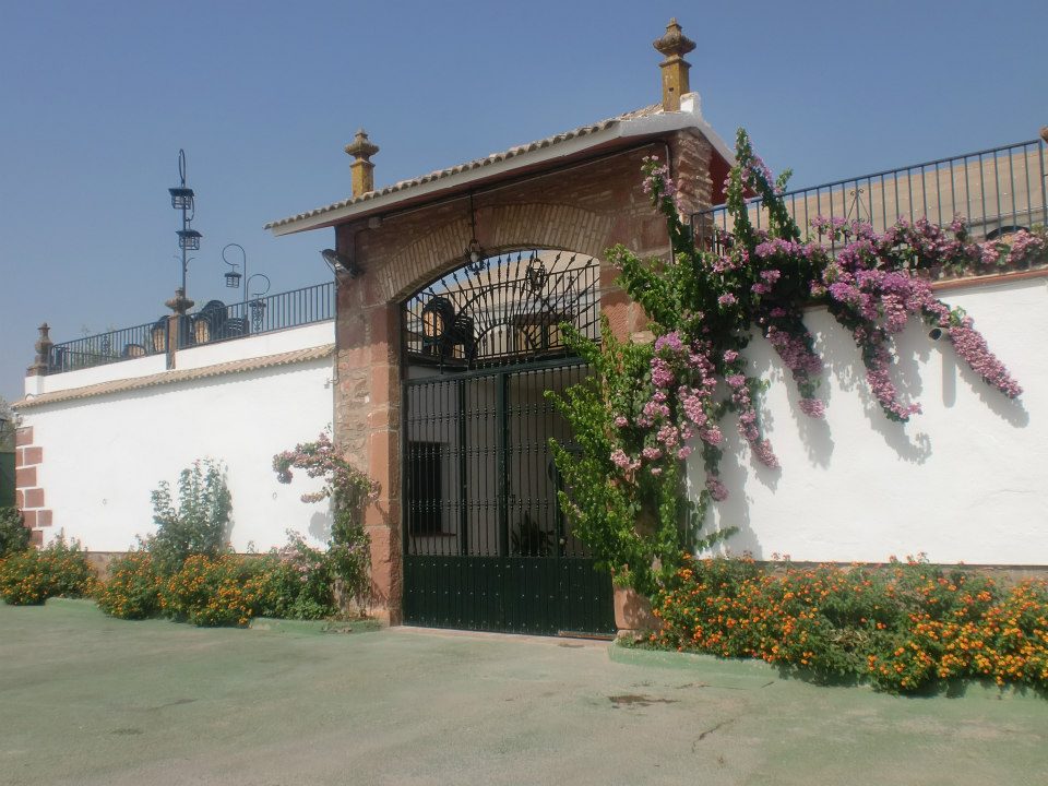 Hostal Molina Plaza