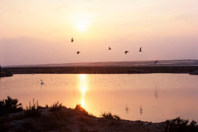 Punta Entinas-Sabinar