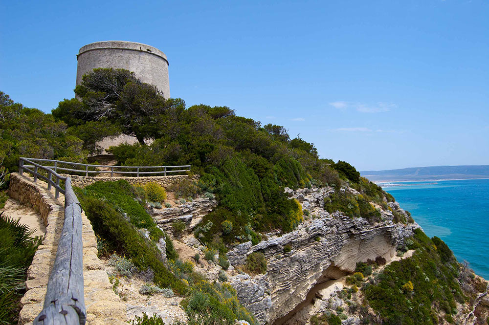 La Breña y Marismas de Barbate