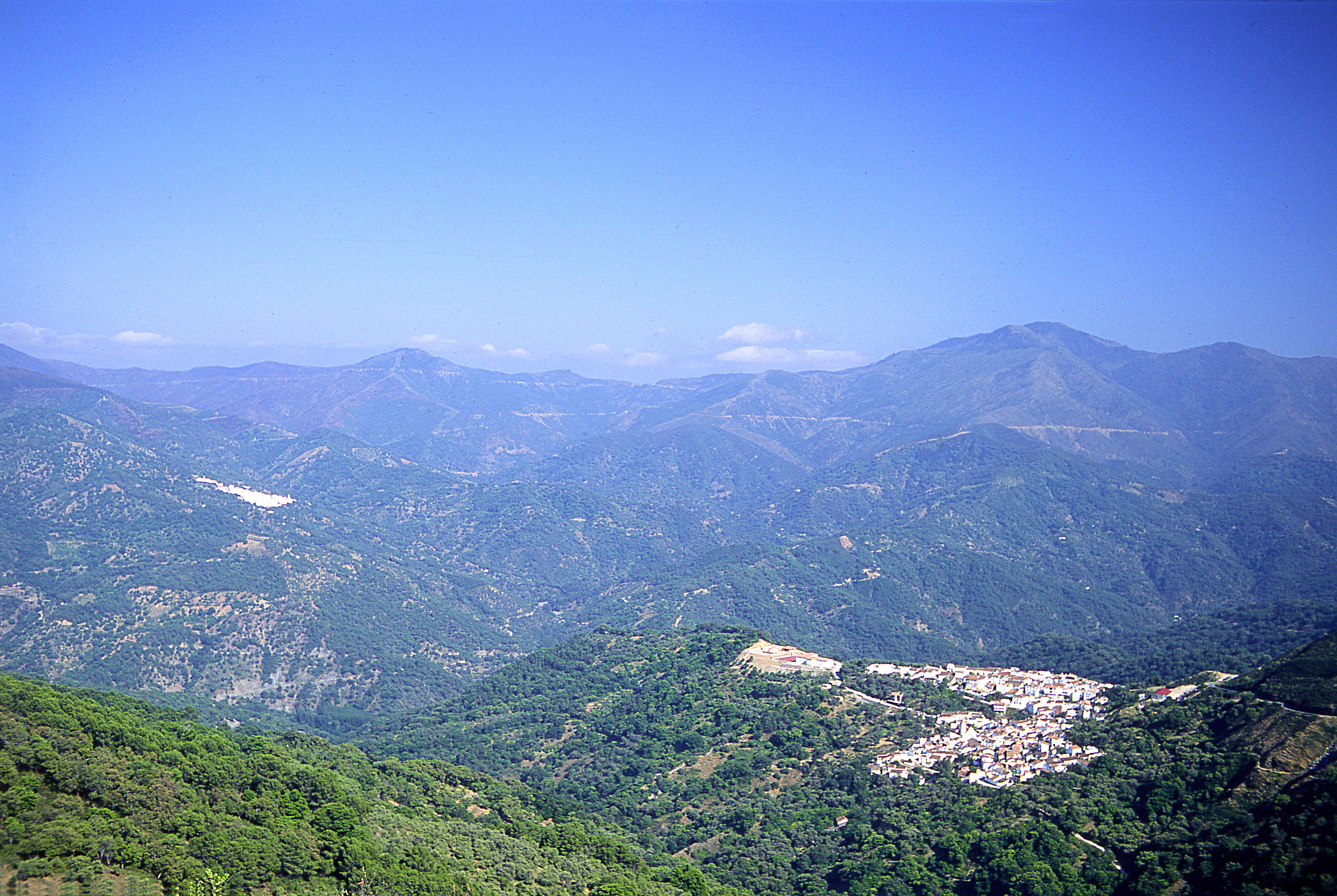 Los Reales de Sierra Bermeja