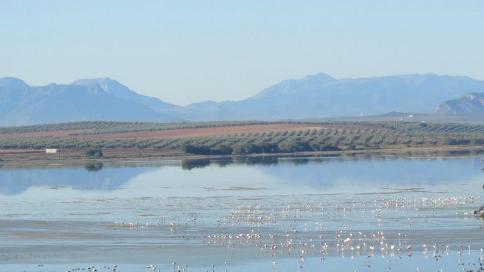 Laguna de Fuente de Piedra