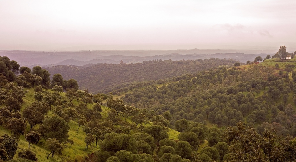 Sierra de Cardeña y Montoro