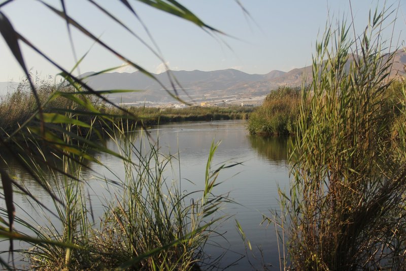 Albufera de Adra