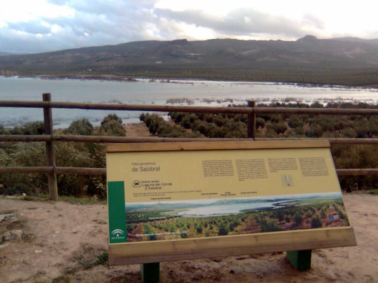 Laguna del Conde o Salobral