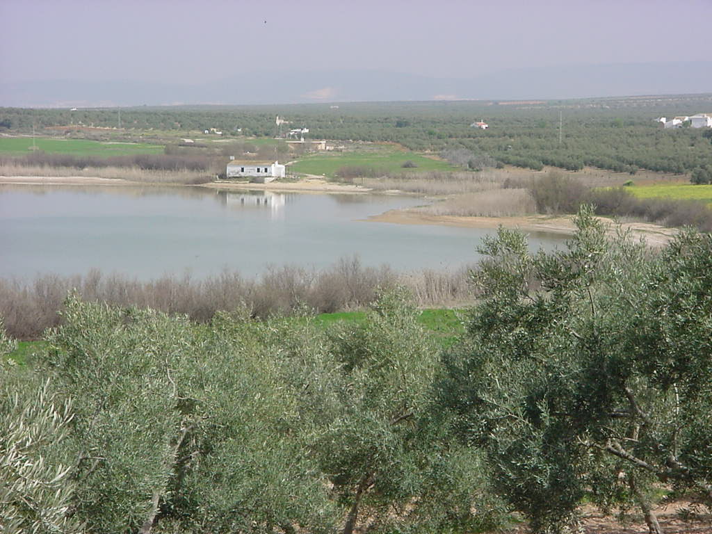 Laguna del Gosque