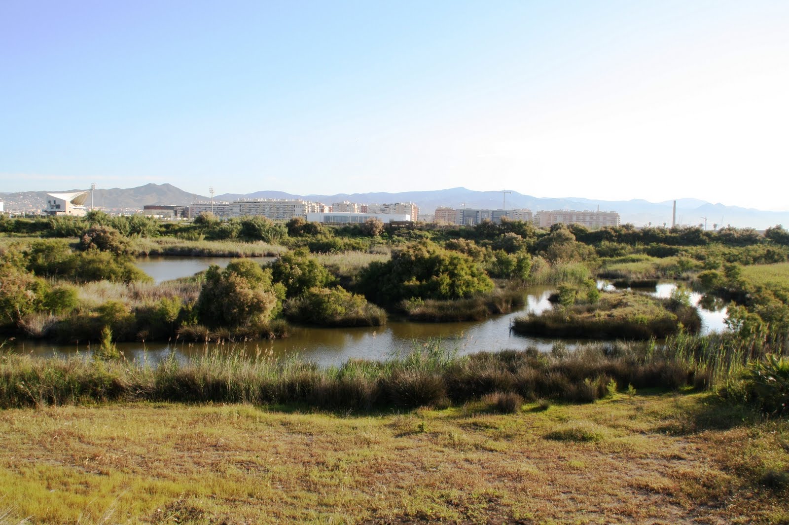 Desembocadura del Guadalhorce