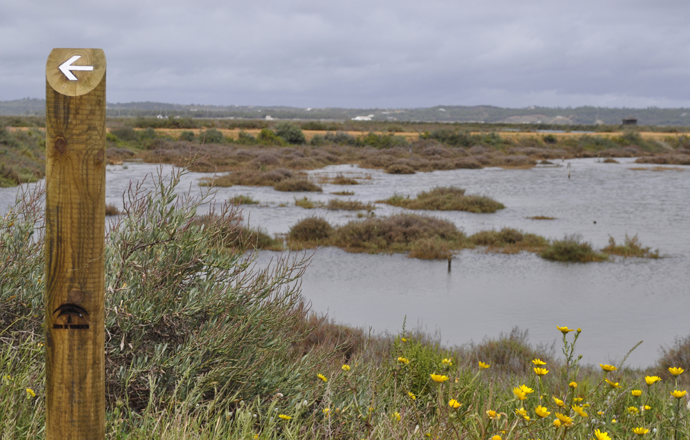 Marismas de Isla Cristina