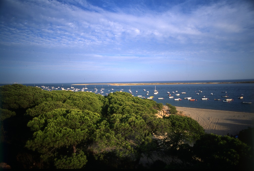 Marismas del Río Piedras y Flecha del Rompido