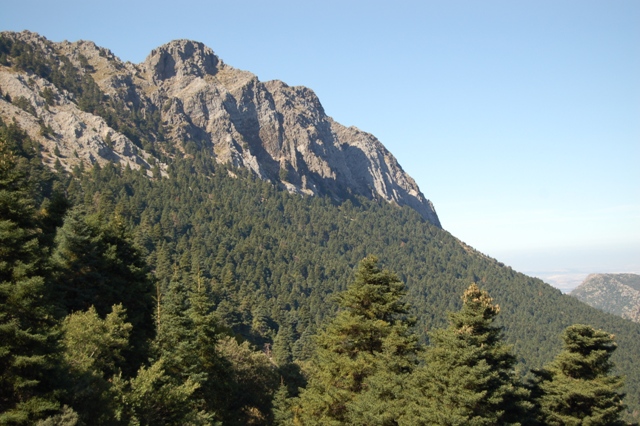 Sentier El Pinsapar (PN Sierra de Grazalema) - PR-A 347