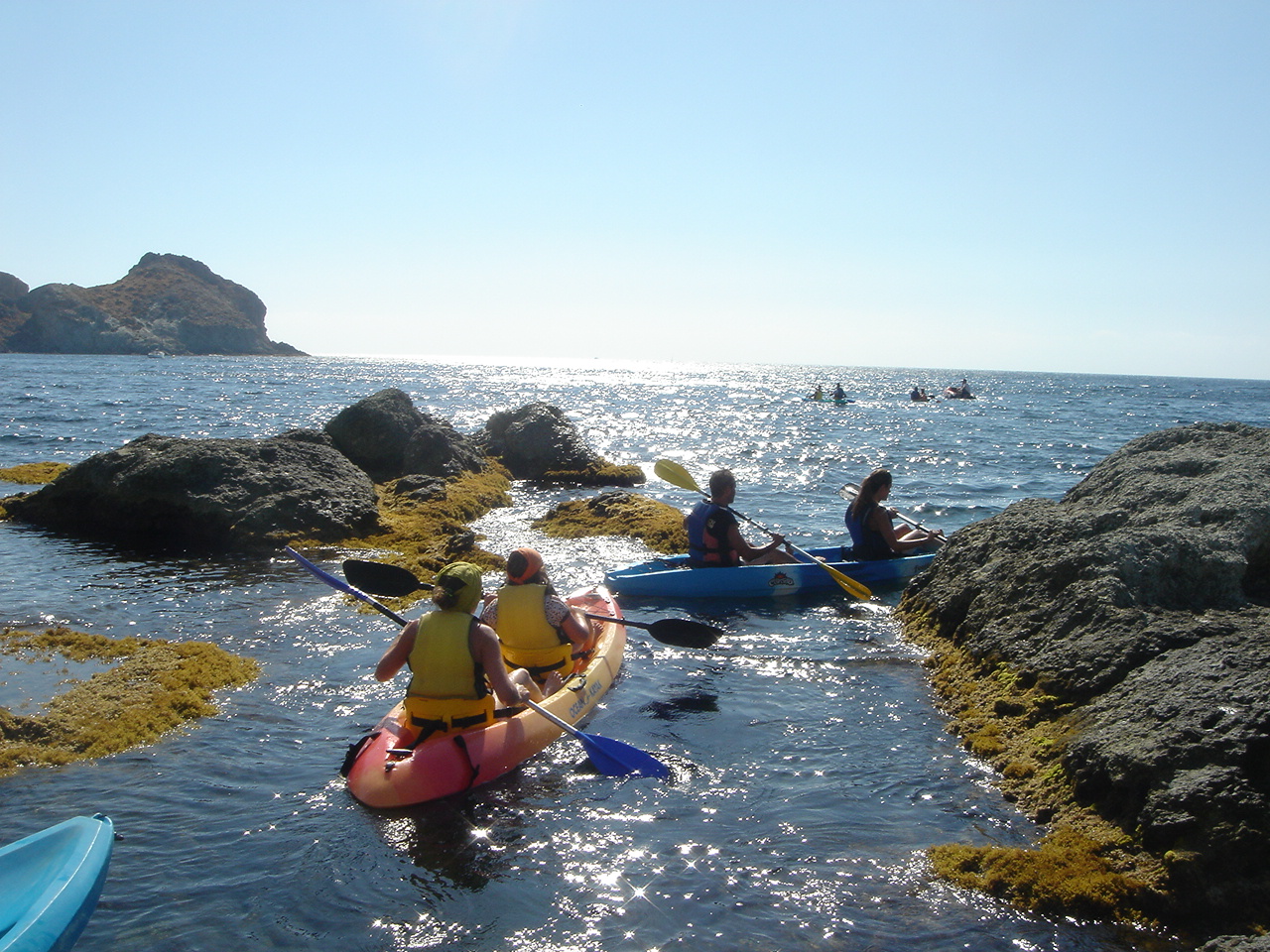 Hamelin: Happy Kayak - Actividad  (San José)