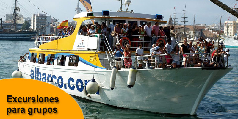 Hamelin: Cruceros Sancti Petri - Actividad  (Cádiz)