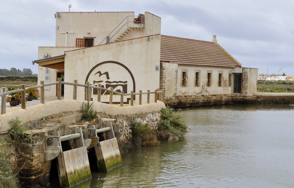 Centro de Visitantes Molino Mareal El Pintado