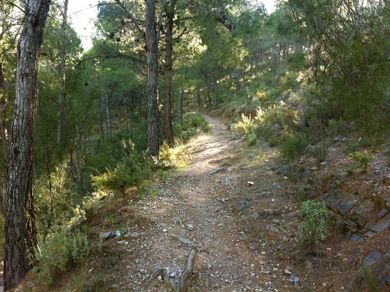 Sentier des Minas de Berja - PR A 336