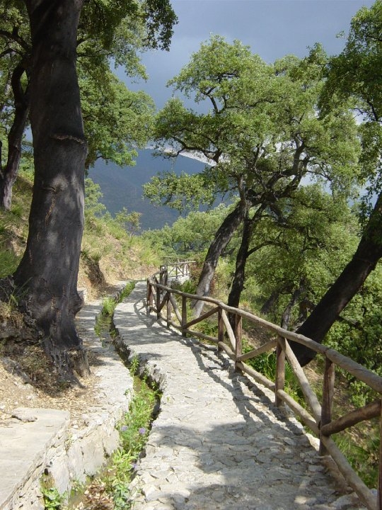 Istán – Cañada del Infierno Trail – PR-A 136