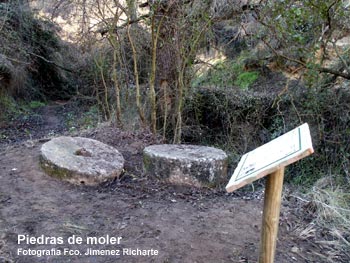 Arroyo de las Cañas (Palenciana) – PR-A 8 Trail