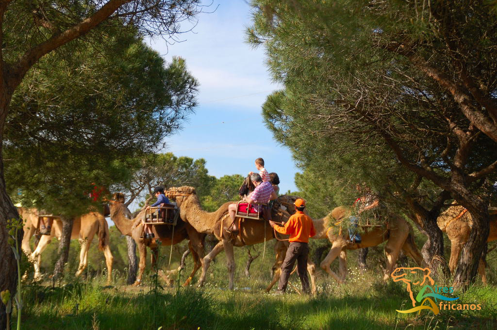 Aires Africanos - Web oficial de turismo de Andalucía