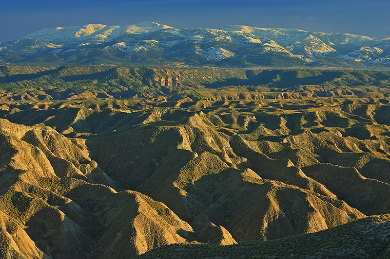 Georuta Desierto de Gorafe