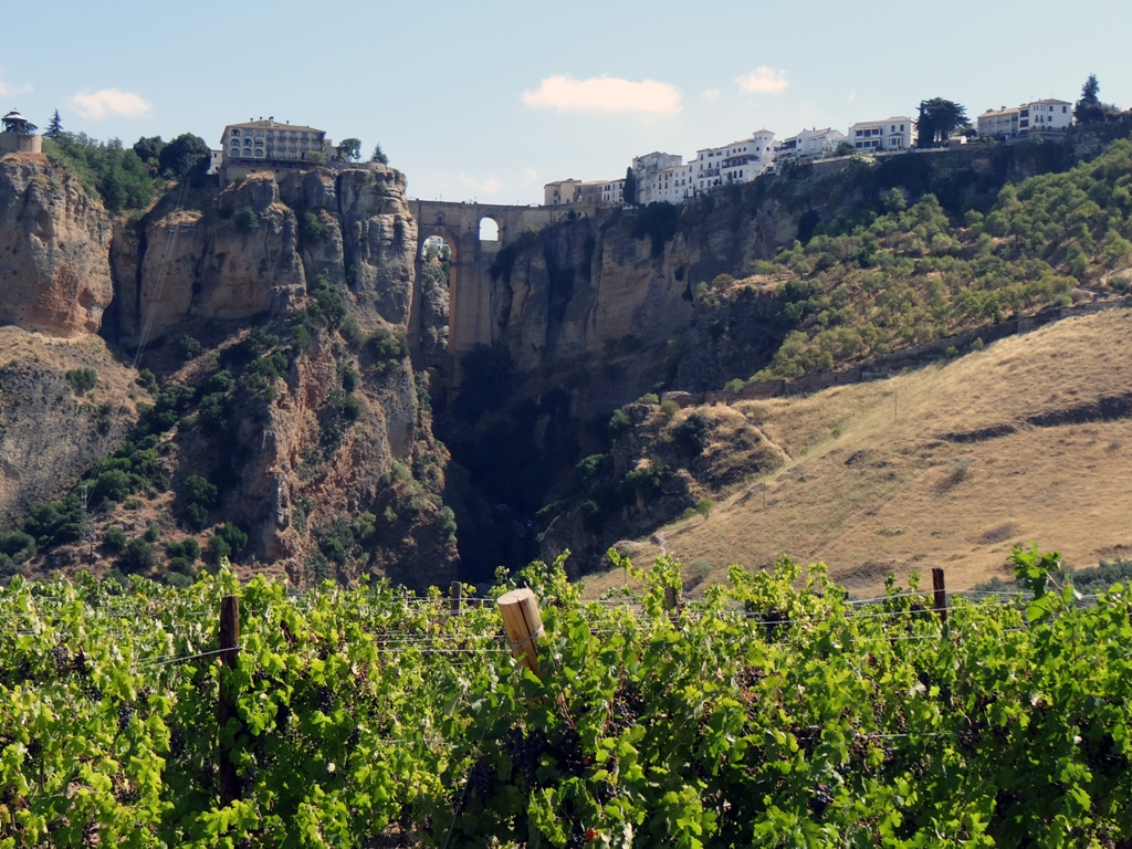 Routen Weine und weinkellereien Serranía de Ronda