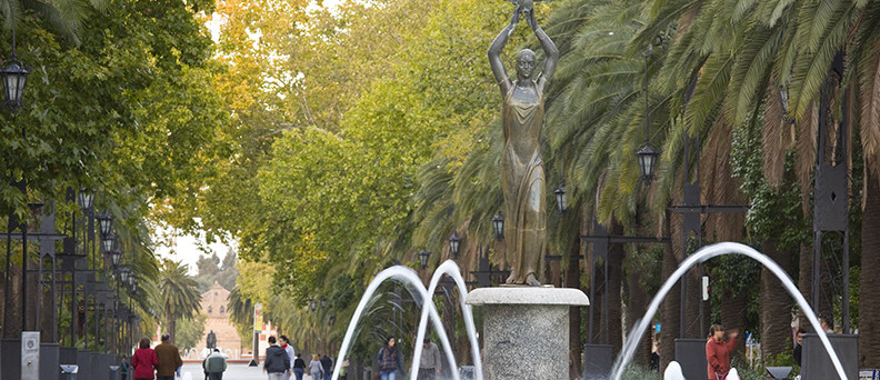 Paseo de Linarejos