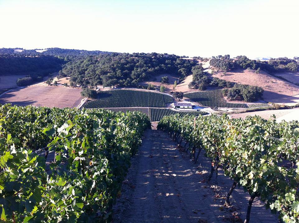 Bodegas Viloria