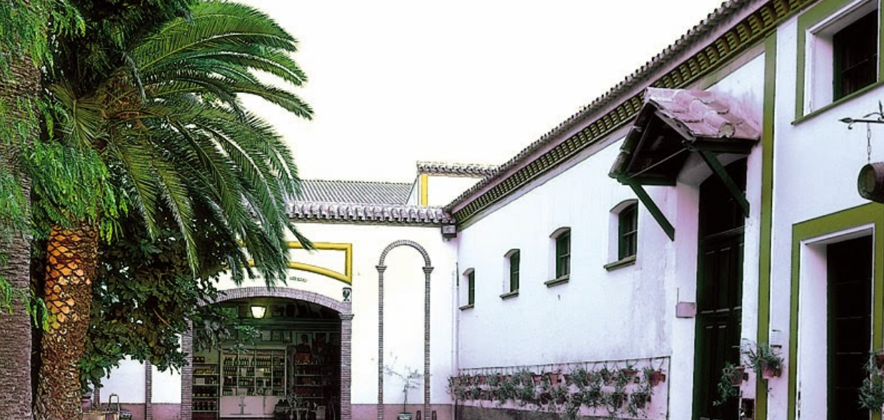 Museo Bodegas Toro Albalá