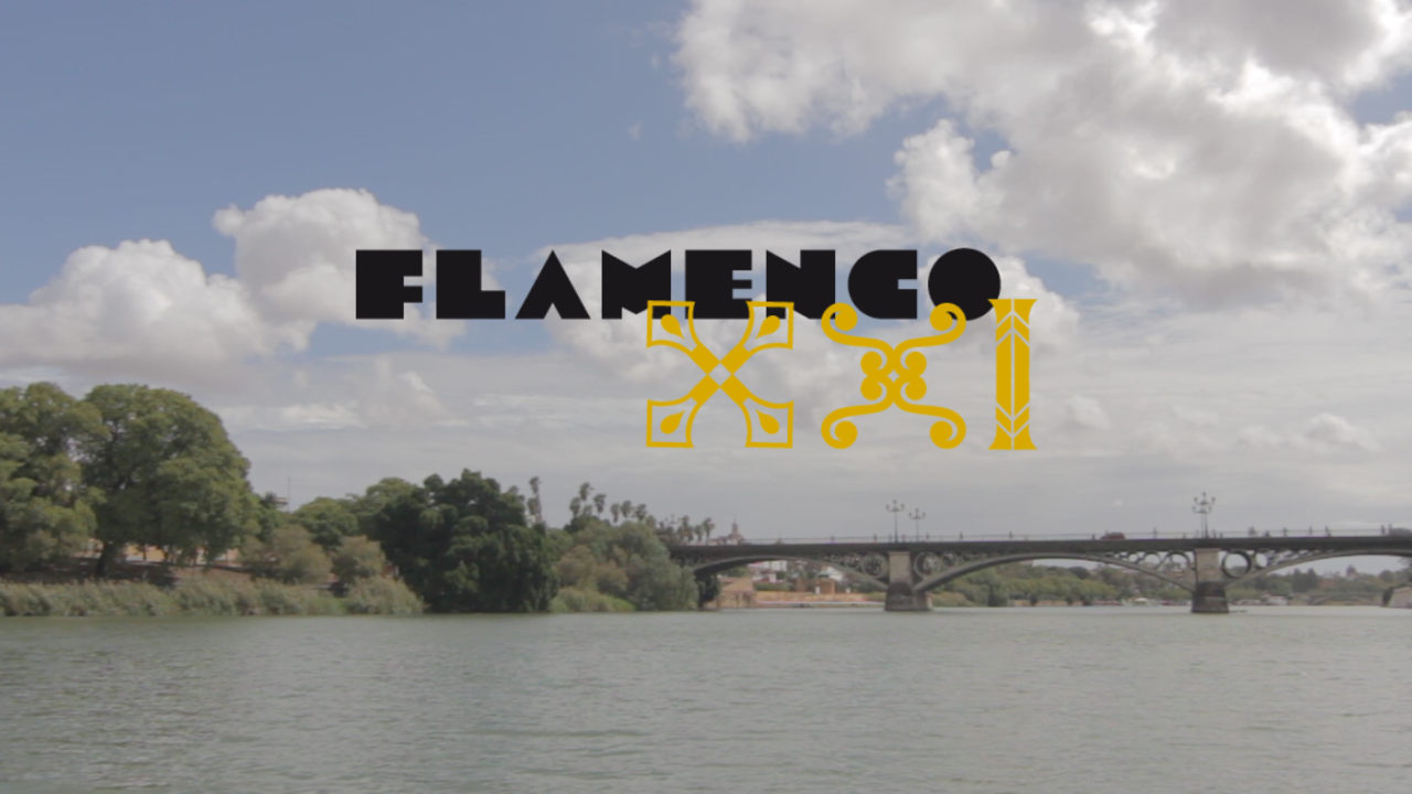 Flamenco XXI