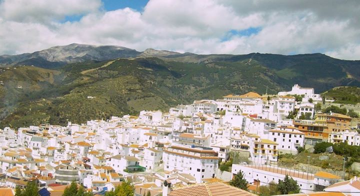 Canillas de Albaida