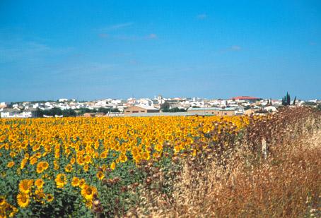 Lantejuela