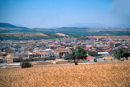 Pedrera