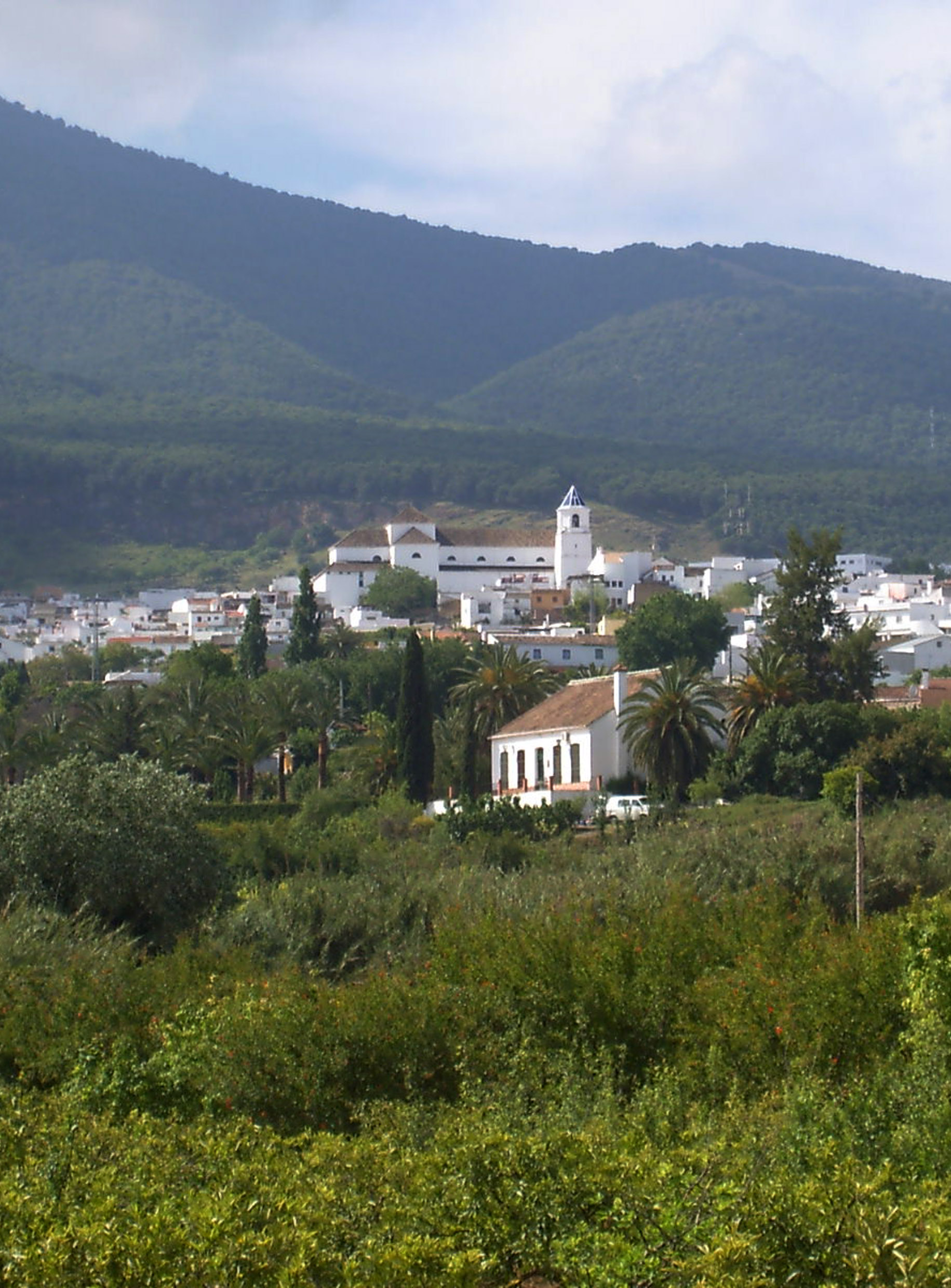 Mejores restaurantes alhaurín el grande