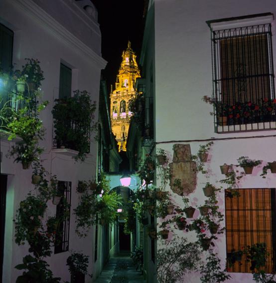 Calleja de las Flores - Official Andalusia tourism website