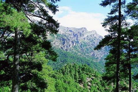 Sierras de Cazorla, Segura y las Villas