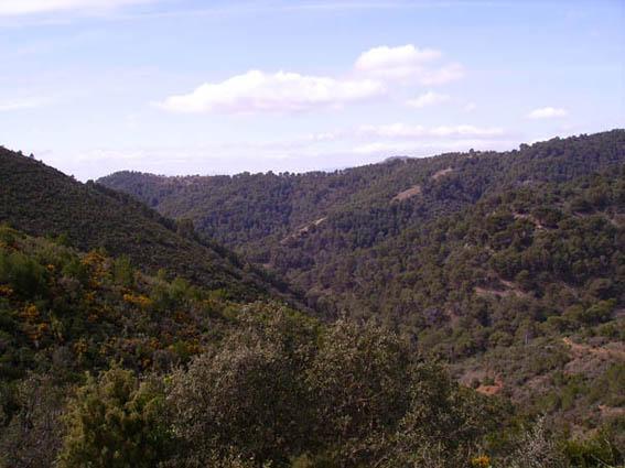 Montes de Málaga