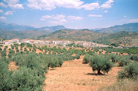 Jaén y Entorno