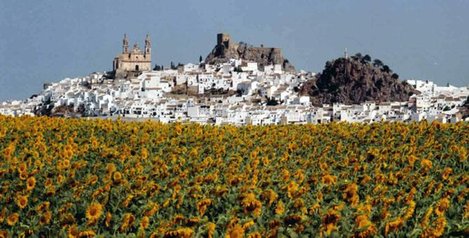 La Frontera: Cádiz y Málaga