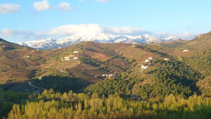 Parque Natural Sierra de Tejeda, almijara y Alhama