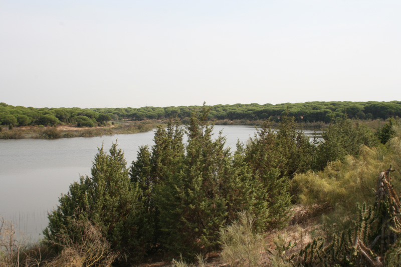 Reserva Natural Laguna de El Portil
