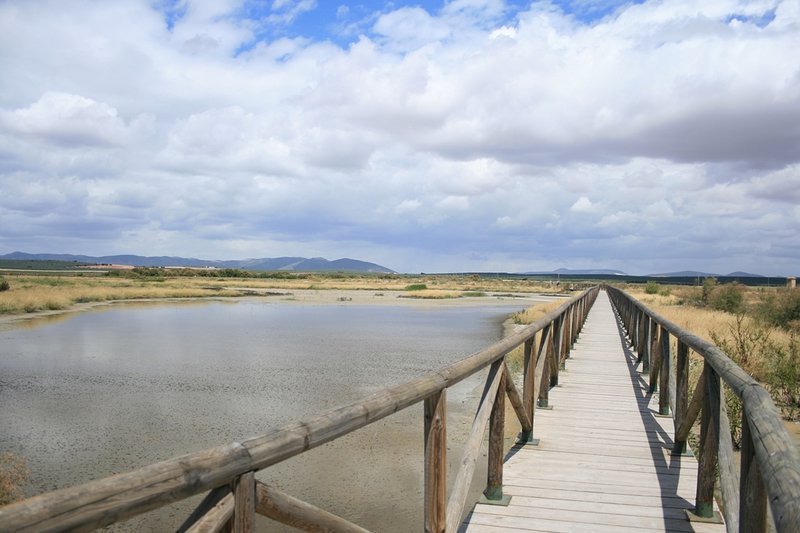 Reserva Natural Laguna de Fuente de Piedra