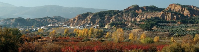 Monumento Natural Cárcavas de Marchal