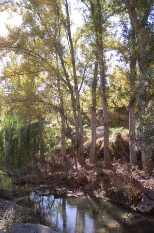 Monumento Natural Mirador Cuenca del Río Turón - Mirador del Guarda Forestal