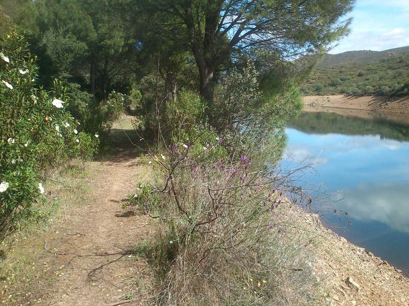 Sendero Ruta del Agua de Guillena - PR-A 218