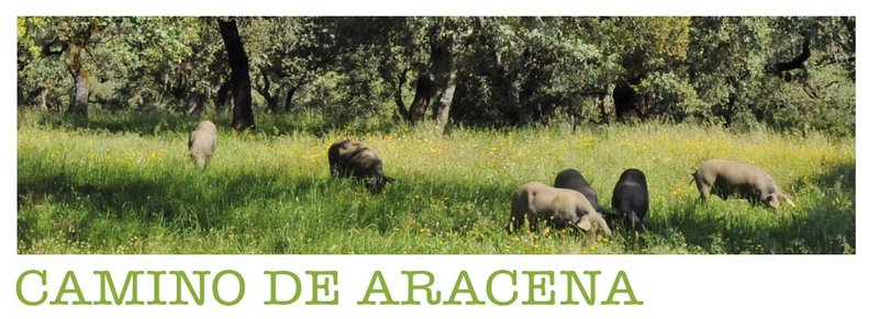 Sendero Aracena – Linares de la Sierra – PR-A 48