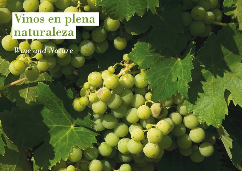 Ruta del Vino Condado de Huelva
