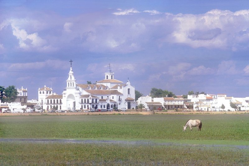 Doñana